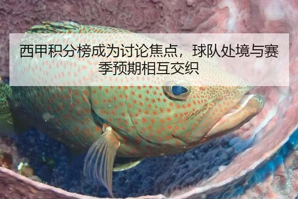 西甲积分榜成为讨论焦点,球队处境与赛季预期相互交织